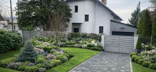 chatgpt-image-2026_optimized.-febr.-11.-18_23_31